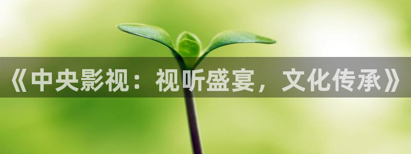 青苹果影院手机版在线观看