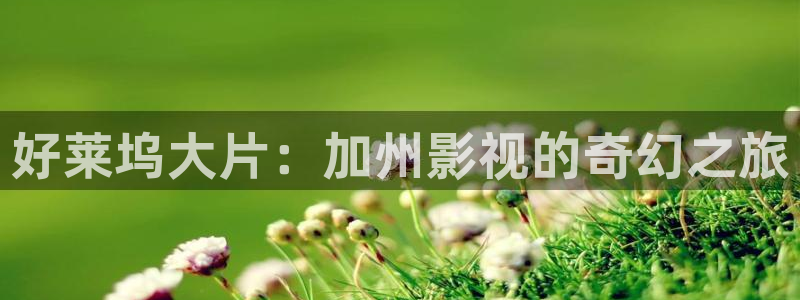6080yy青苹果影院：好莱坞大片：加州影视的奇幻之旅