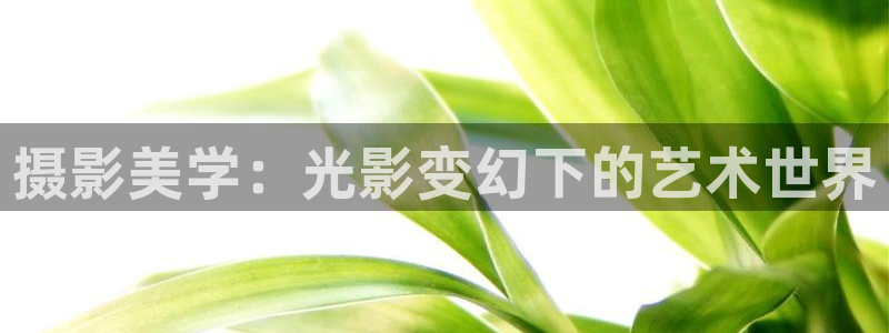 青苹果影院yy6090在线观看：摄影美学：光影变幻下的艺术世界